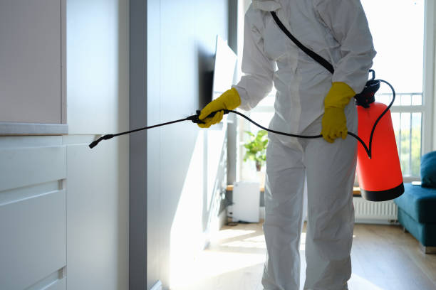 Best Health and Safety Mold Remediation in Andover, MN