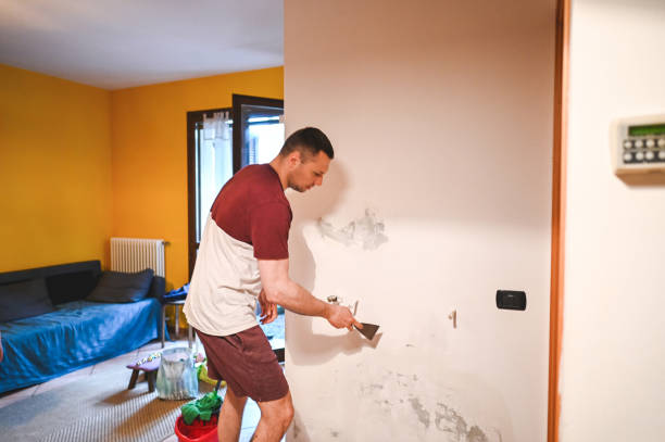 Best Attic Mold Remediation in Andover, MN